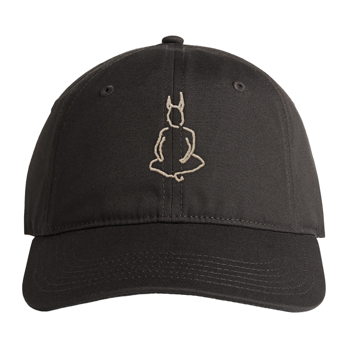 Wunderhorse Devil | Embroidered Charcoal Cap